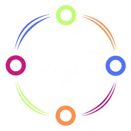 custom_website